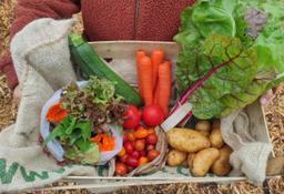 Image of Small - Veg Box Highest