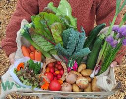 Image of Large - Veg Box Highest