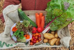Image of Small Organic Full Season Higher
