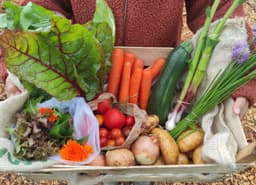 Image of Medium Organic Full Season Higher